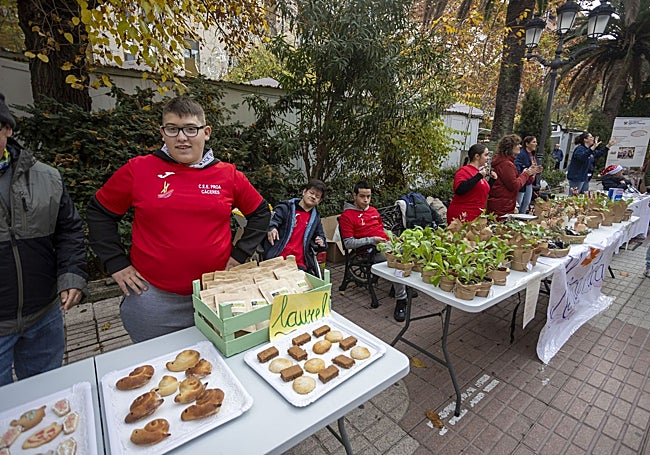 Actividades por el Día de la Discapacidad en el Paseo de Cánovas.