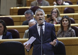 Marlaska en la sesión de control al Gobierno en el Senado este martes.