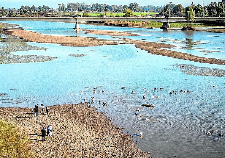 Los pacenses paseando por el cauce del Guadiana durante este puente de la Constitución en Badajoz.