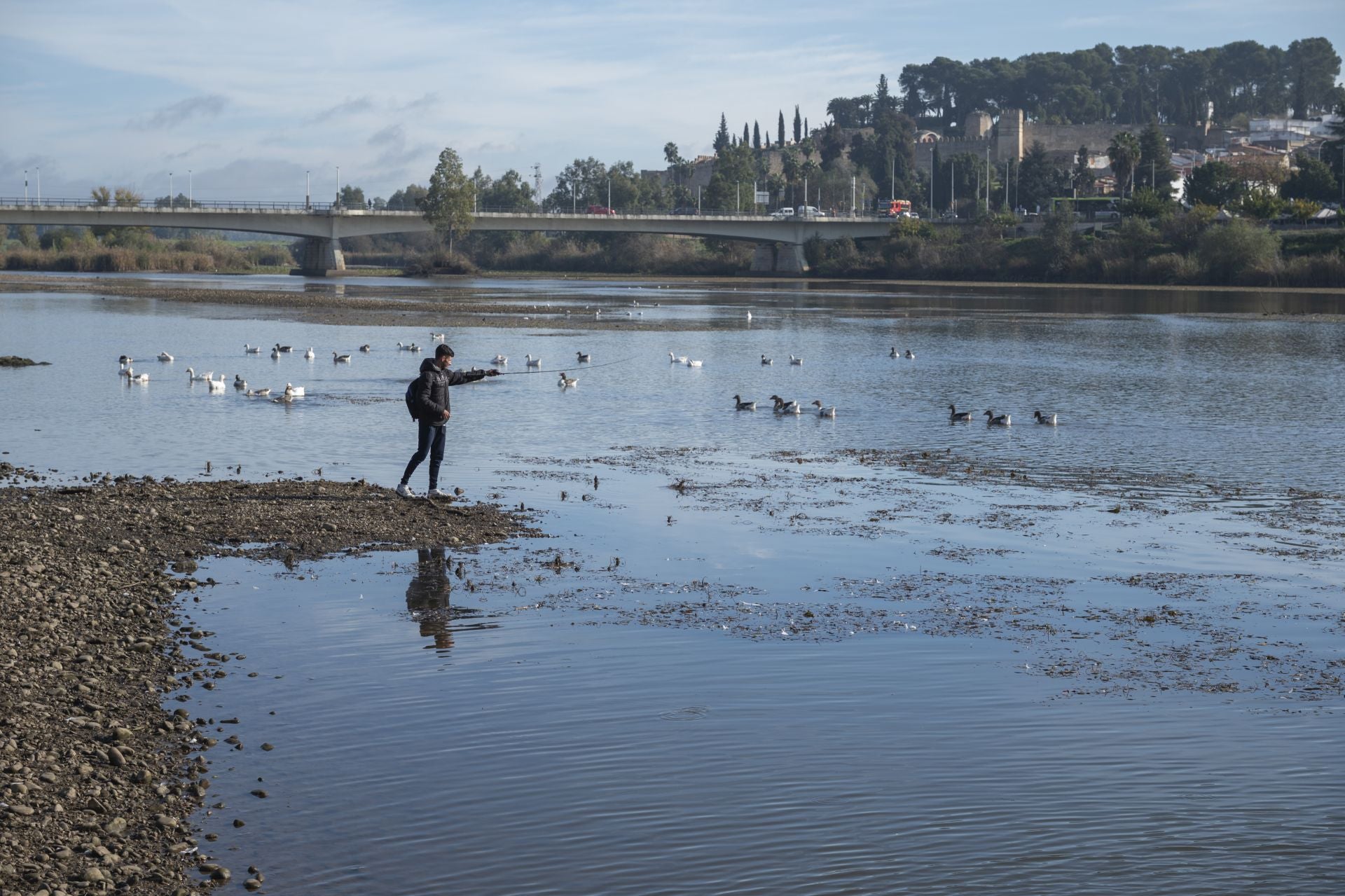 Así se ve el Guadiana con la bajada del nivel del agua