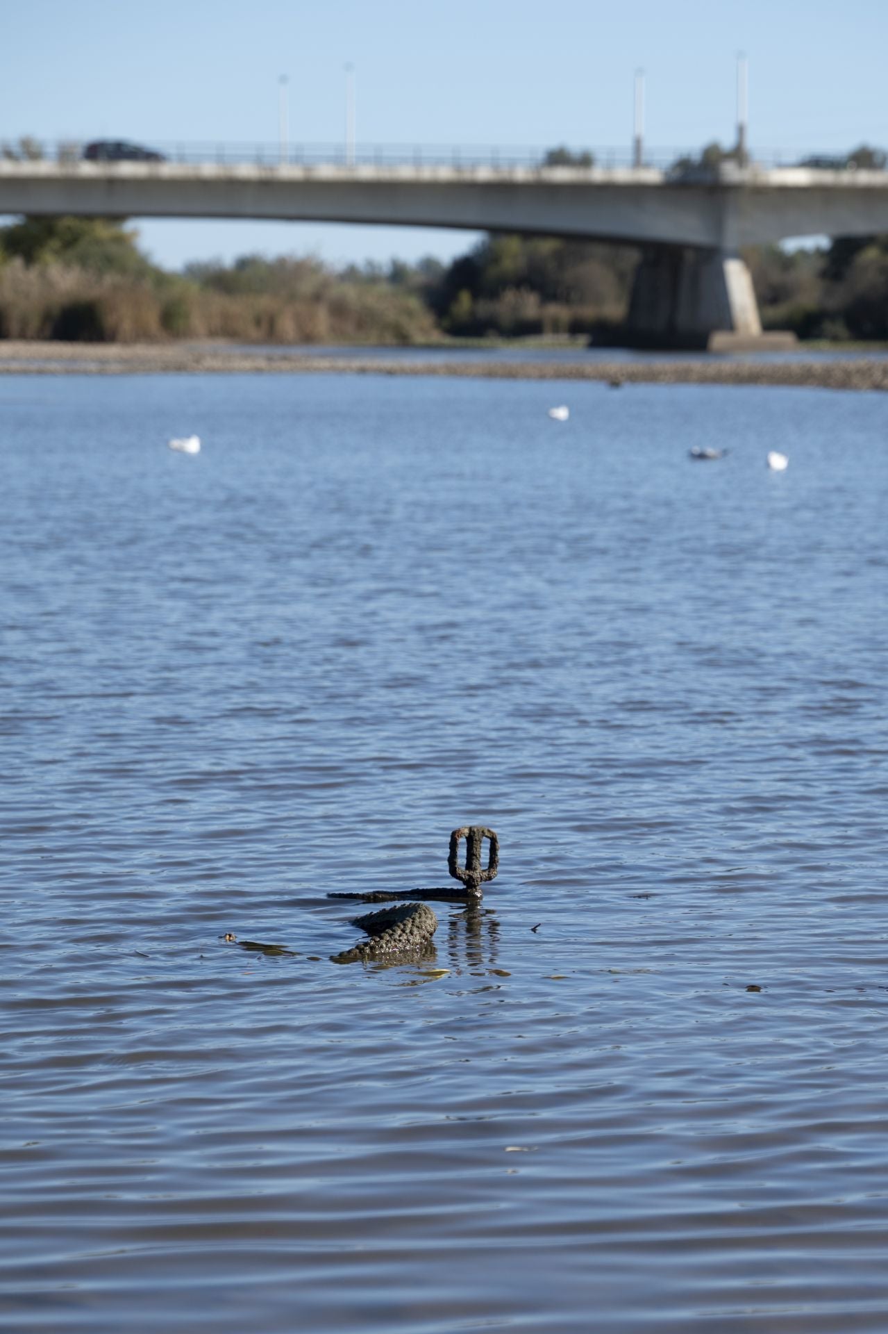 Así se ve el Guadiana con la bajada del nivel del agua