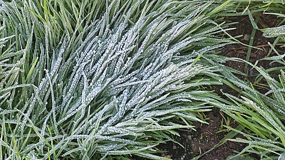 Extremadura se acerca a los 3 grados bajo cero