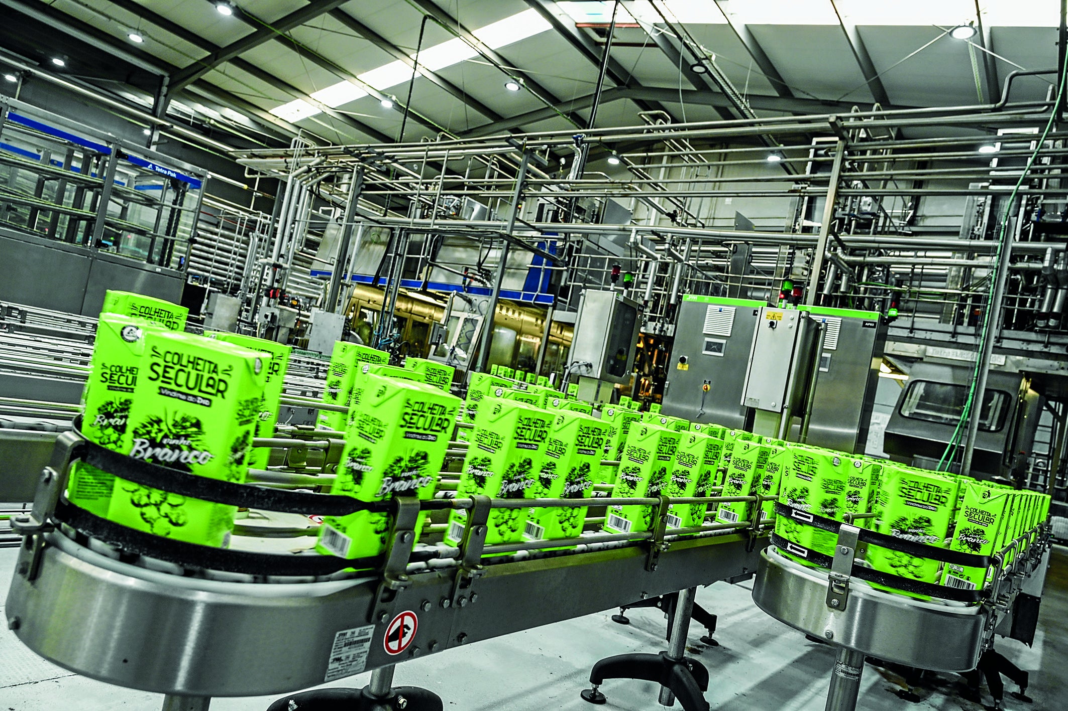 El envasado del vino se hace de manera absolutamente automatizada y controlada