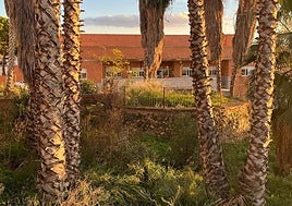 Huerta de «La Señorita»