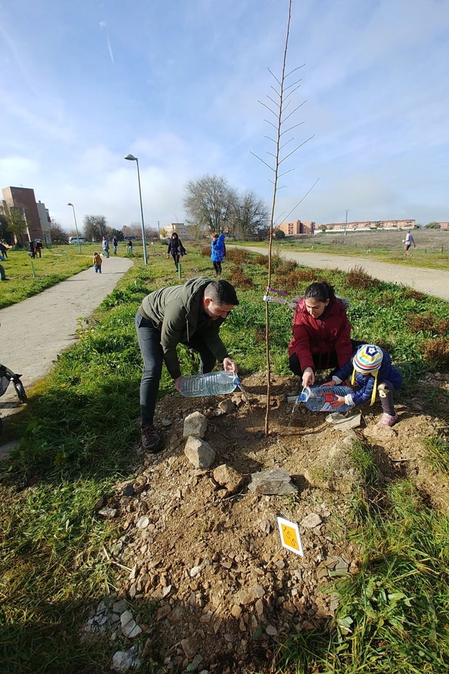 Actividad de este domingo con la plantación en Cáceres el Viejo.