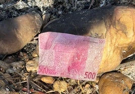 El billete de 500 euros que flotaba en el río Guadiana.