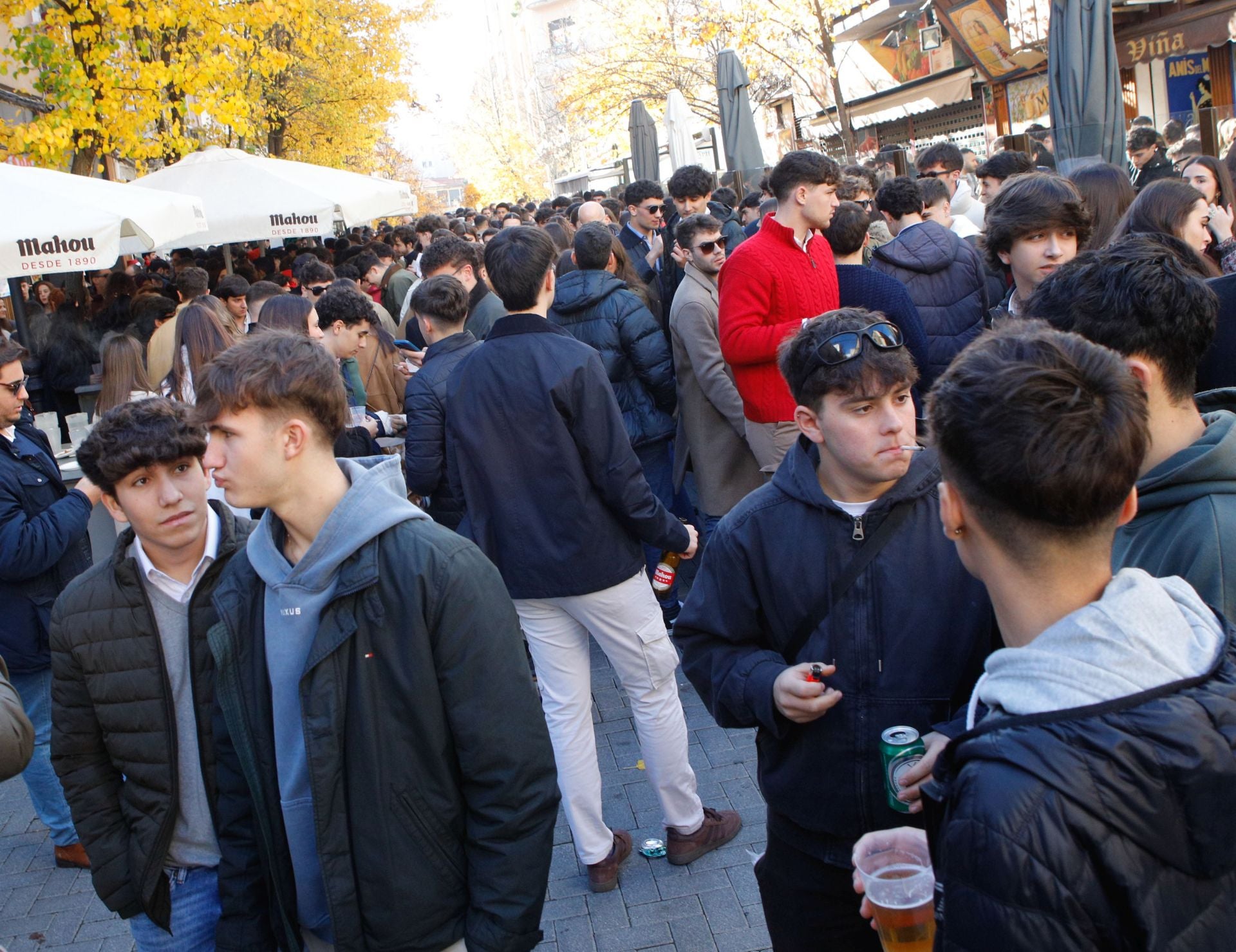 Las calles de Cáceres se llenan con las cañas de Nochebuena