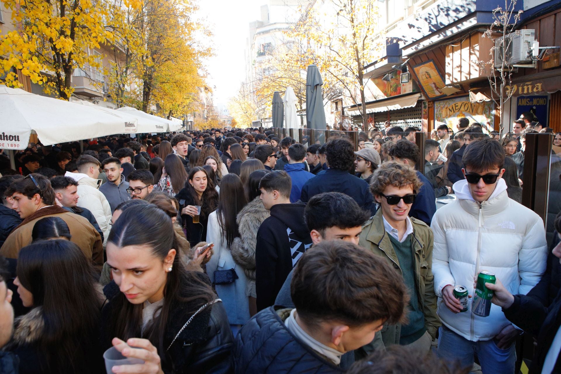 Las calles de Cáceres se llenan con las cañas de Nochebuena