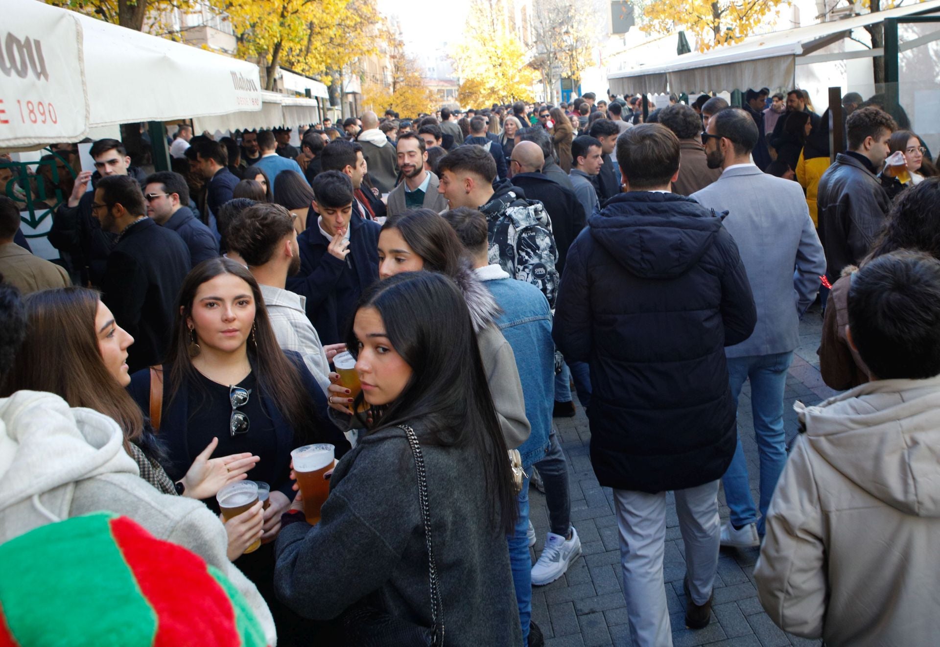 Las calles de Cáceres se llenan con las cañas de Nochebuena