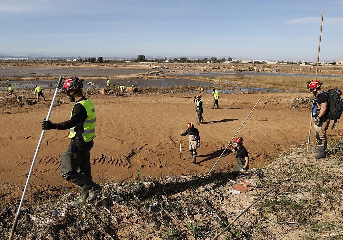 La UME busca desaparecidos en los campos de arroz de Catarroja.