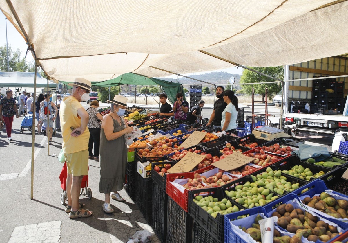 Puesto de frutas en el mercadillo de Vegas del Mocho.