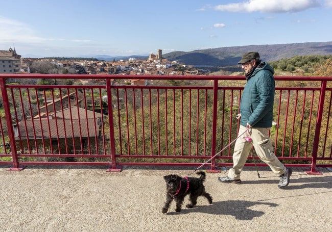 Un hombre pasea con un perro por el puente de hierro de Hervás.