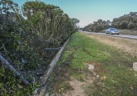 Restos de la matrícula del coche del hombre que fue asesinato en Badajoz.