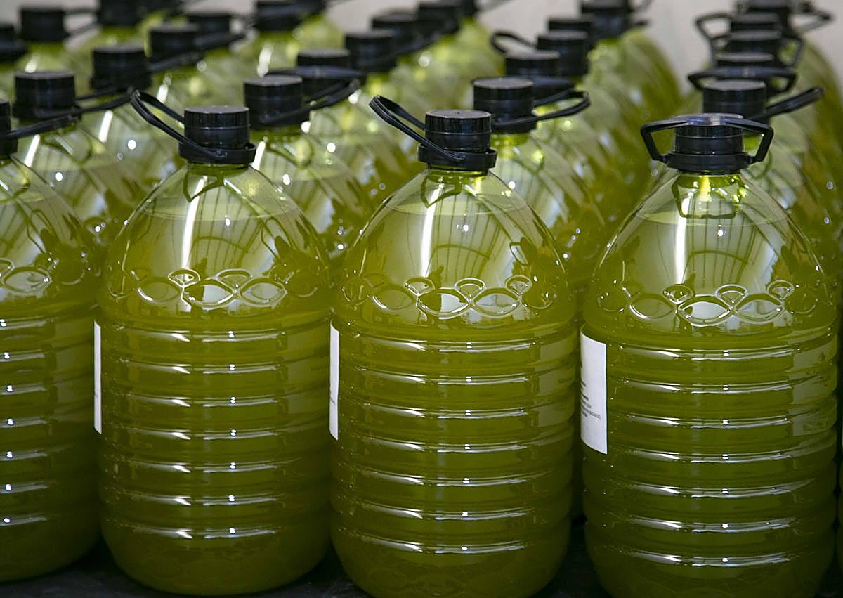 Imagen secundaria 1 - La campaña de aceite se adelanta