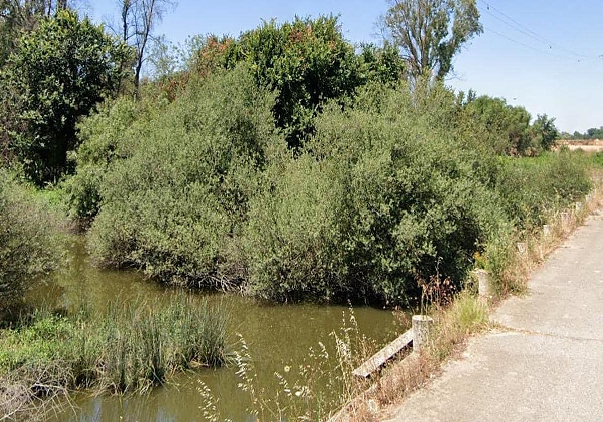 Lugar del siniestro.