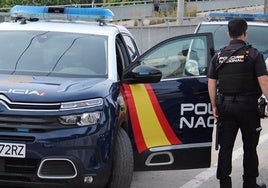 Detenido tras robar el bolso con un fuerte tirón a una mujer en Mérida
