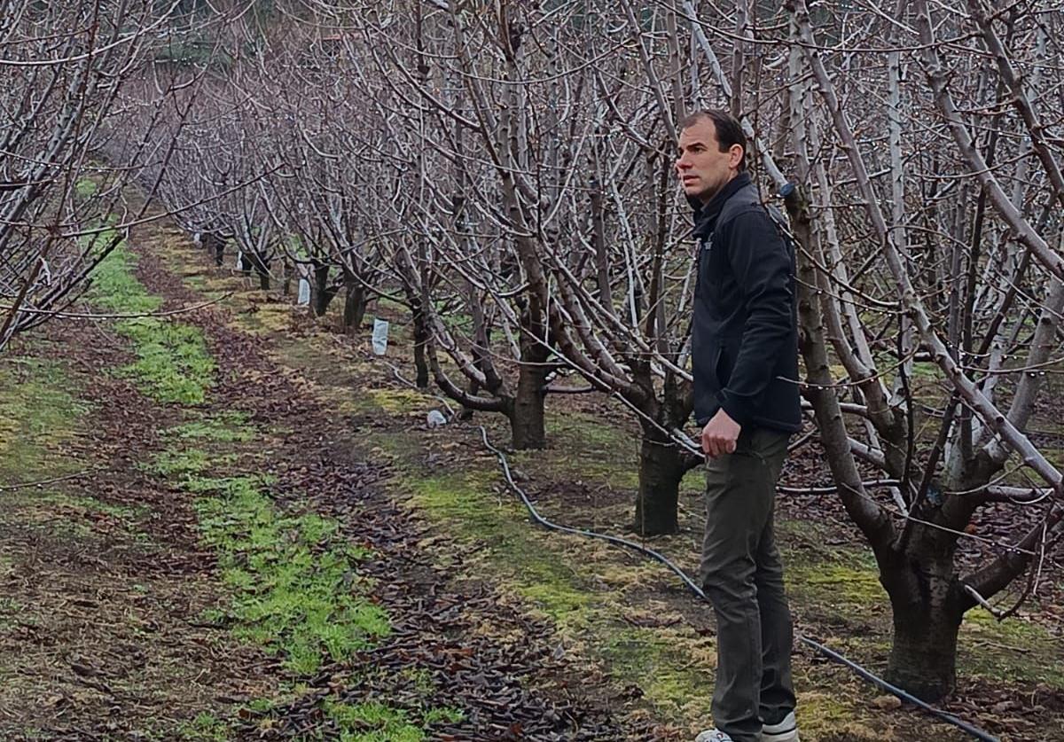 «El futuro del sector de la fruta está peor ahora que hace 25 años»