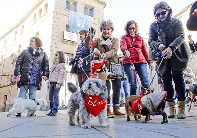 Dueñas con sus mascotas a las puertas de la iglesia de San Juan en una edición anterior de la festividad de San Antón.