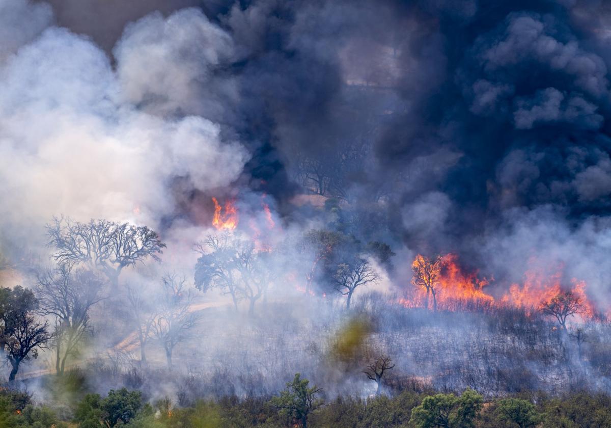 Incendio que afectó al Parque Nacional de Monfragüe en 2022.