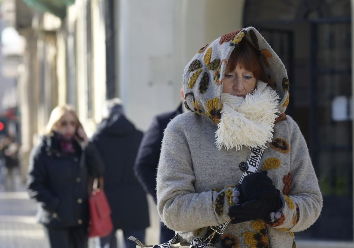 Imagen principal - Los termómetros de Badajoz han llegado a registrar temperaturas de -4,2º.
