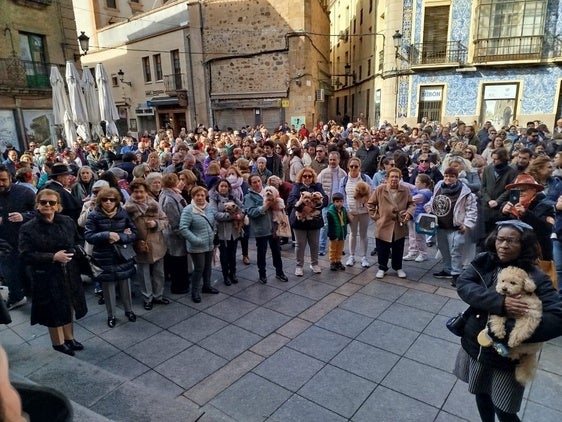 Fotos | Cáceres bendice a sus mascotas