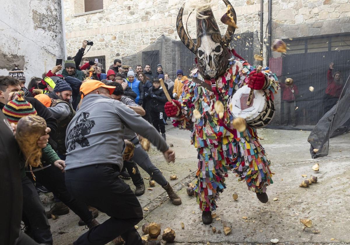 Jarramplas, bajo la lluvia de nabos este 2025.