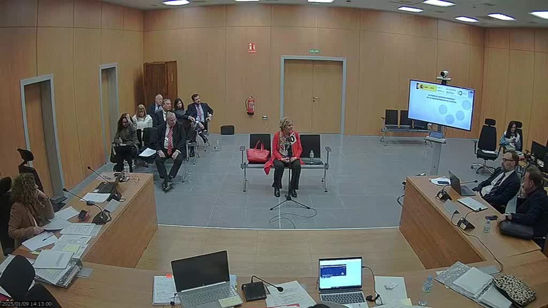 Declaración íntegra de Juana Cinta en las testificales por el caso de David Azagra, hermano de Pedro Sánchez