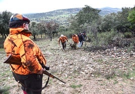 Casi 34.000 cazadores son socios de la Federación extremeña. En la foto, montería en Los Ibores.