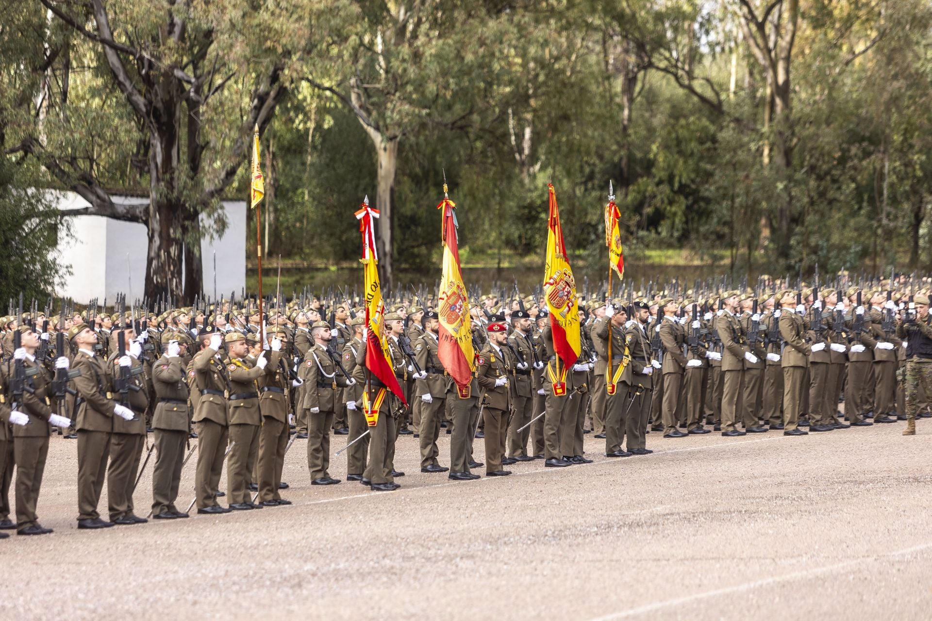 Fotos | Búscate en la jura de bandera en el Cefot de Cáceres