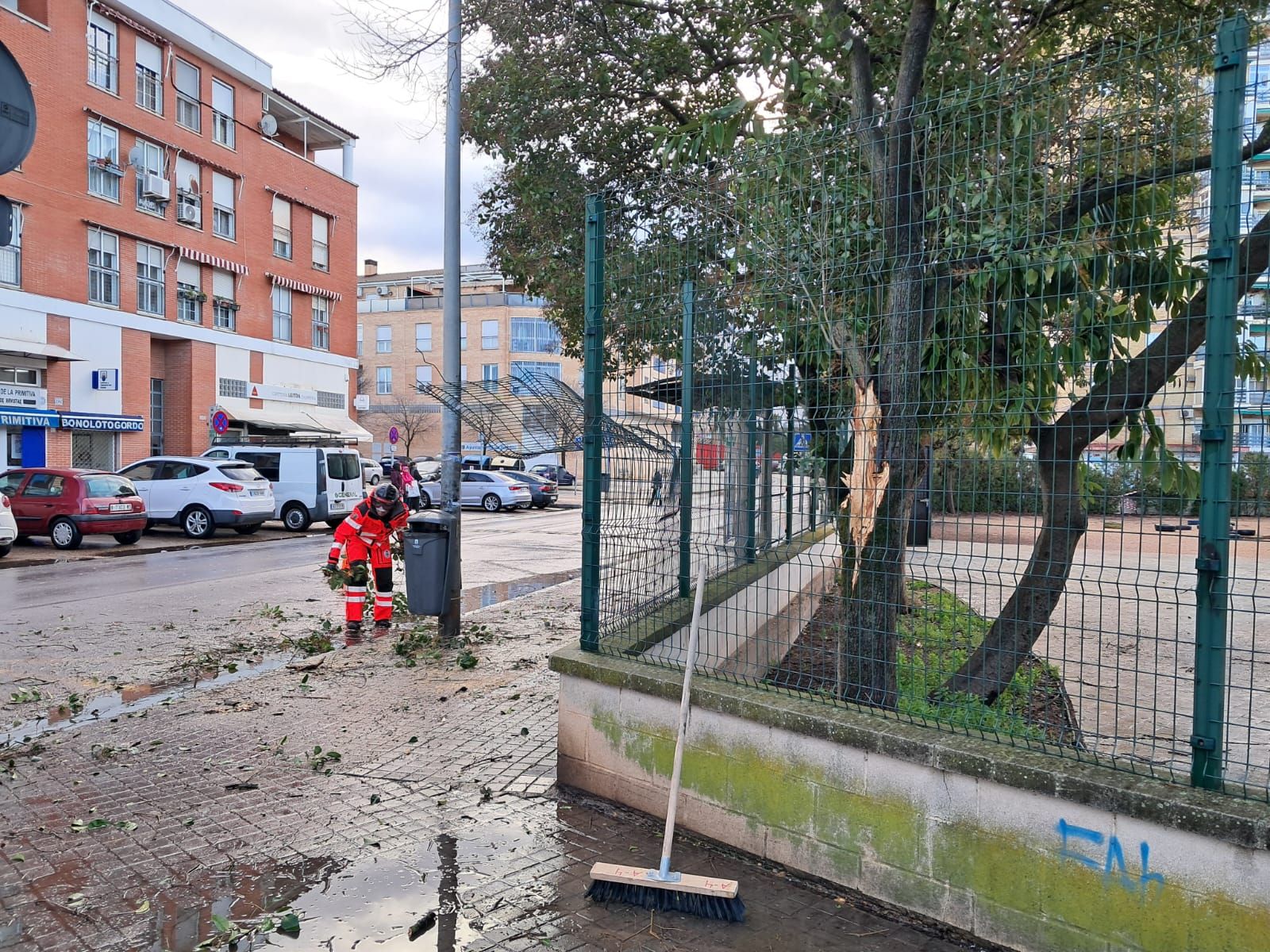 El vendaval de esta mañana en San Fernando, en imágenes