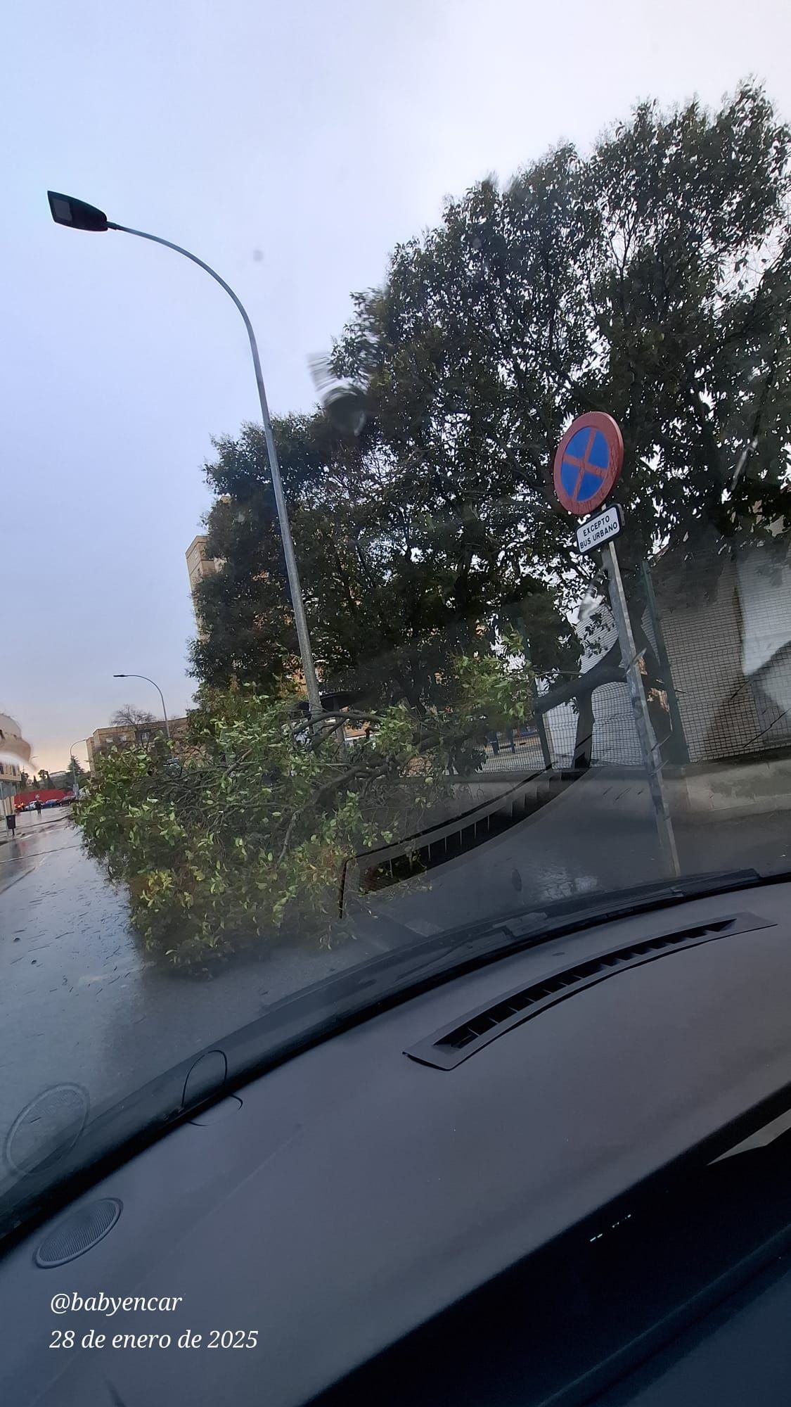 El vendaval de esta mañana en San Fernando, en imágenes