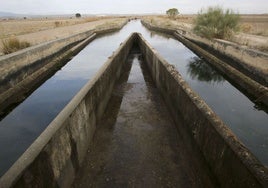 Acequia del canal de Orellana, que abastece a la comunidad de regantes con mayor número de agricultores de Extremadura.