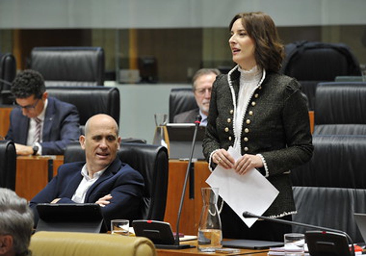 La diputada socialista Ana Fernández durante su intervención en el pleno.