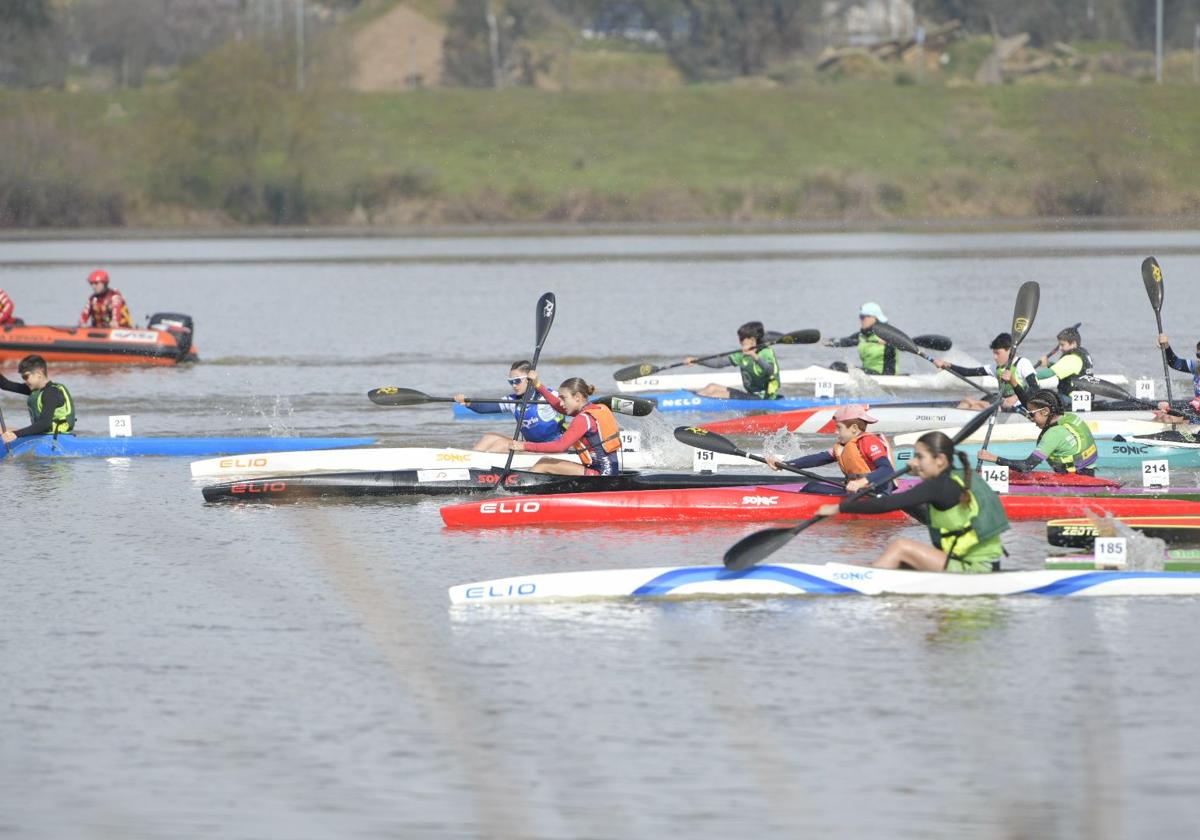 Regata de piragüismo en el Guadiana a su paso por Badajoz.