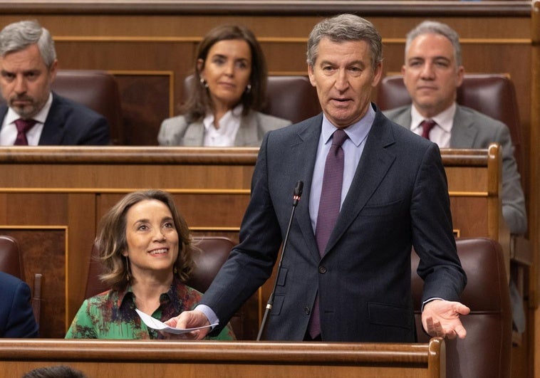 La secretaria general del PP, Cuca Gamarra, y el presidente del PP, Alberto Núñez Feijóo, durante el pleno en el Congreso de los Diputados.