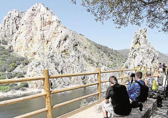 Observación de aves en el Salto del Gitano, en el Parque Nacional de Monfragüe.