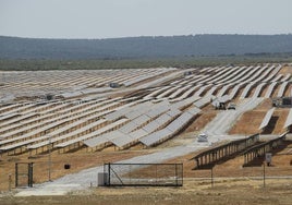 Planta fotovoltaica Francisco Pizarro, la mayor de Europa, entre Aldeacentenera y Torrecillas de la Tiesa.