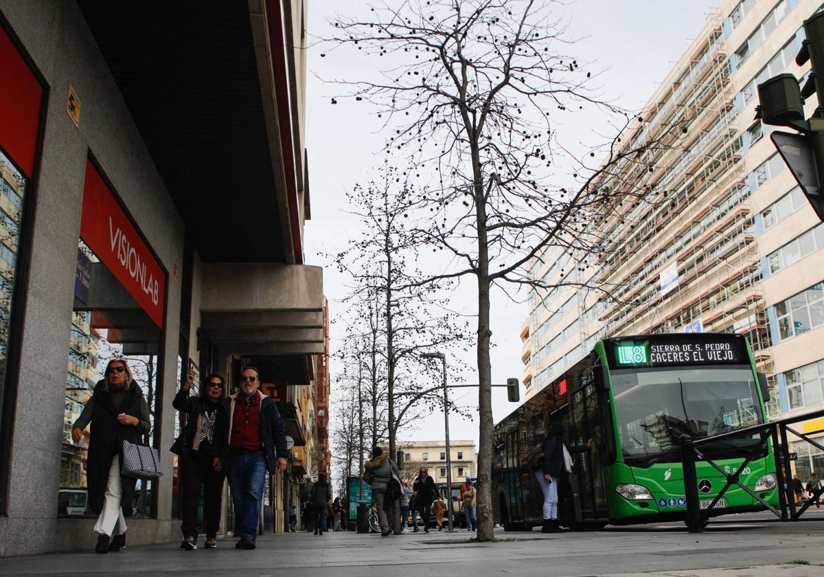 Imagen de archivo de un bus de la línea 8 a su paso por la avenida Clara Campoamor de Cáceres en febrero de 2024.