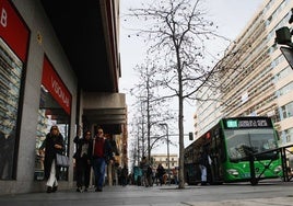 Imagen de archivo de un bus de la línea 8 a su paso por la avenida Clara Campoamor de Cáceres en febrero de 2024.