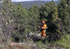 Trabajos de selvicultura preventiva realizado por personal del plan Infoex en el norte extremeño.