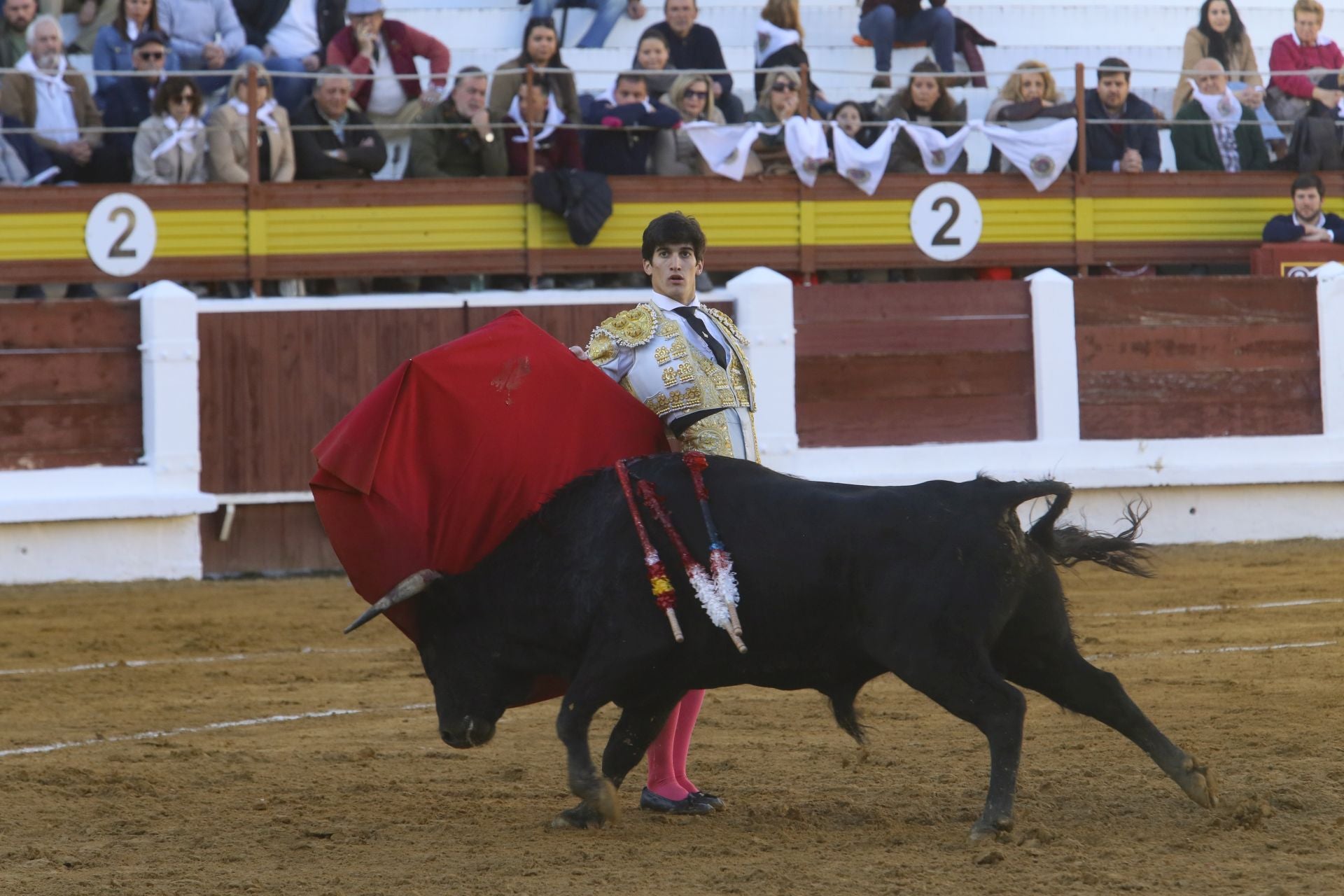 La novillada de Mérida, en imágenes