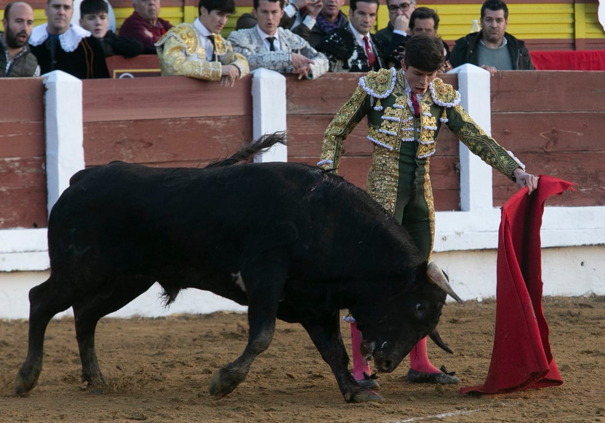 Julio Méndez con el novillo de su debut con caballos en la plaza de toros de Mérida.