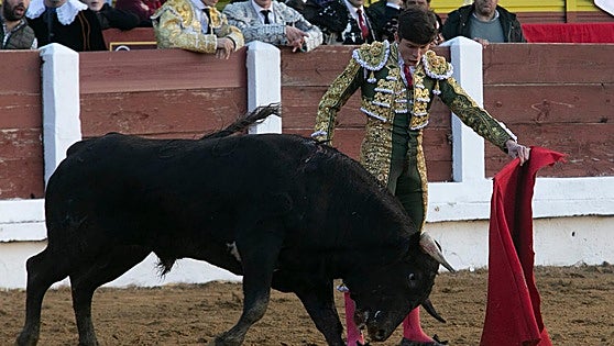 Julio Méndez se impone a El Mella y Jorge Hurtado en el estofado de orejas que sirvió para su debut en Mérida