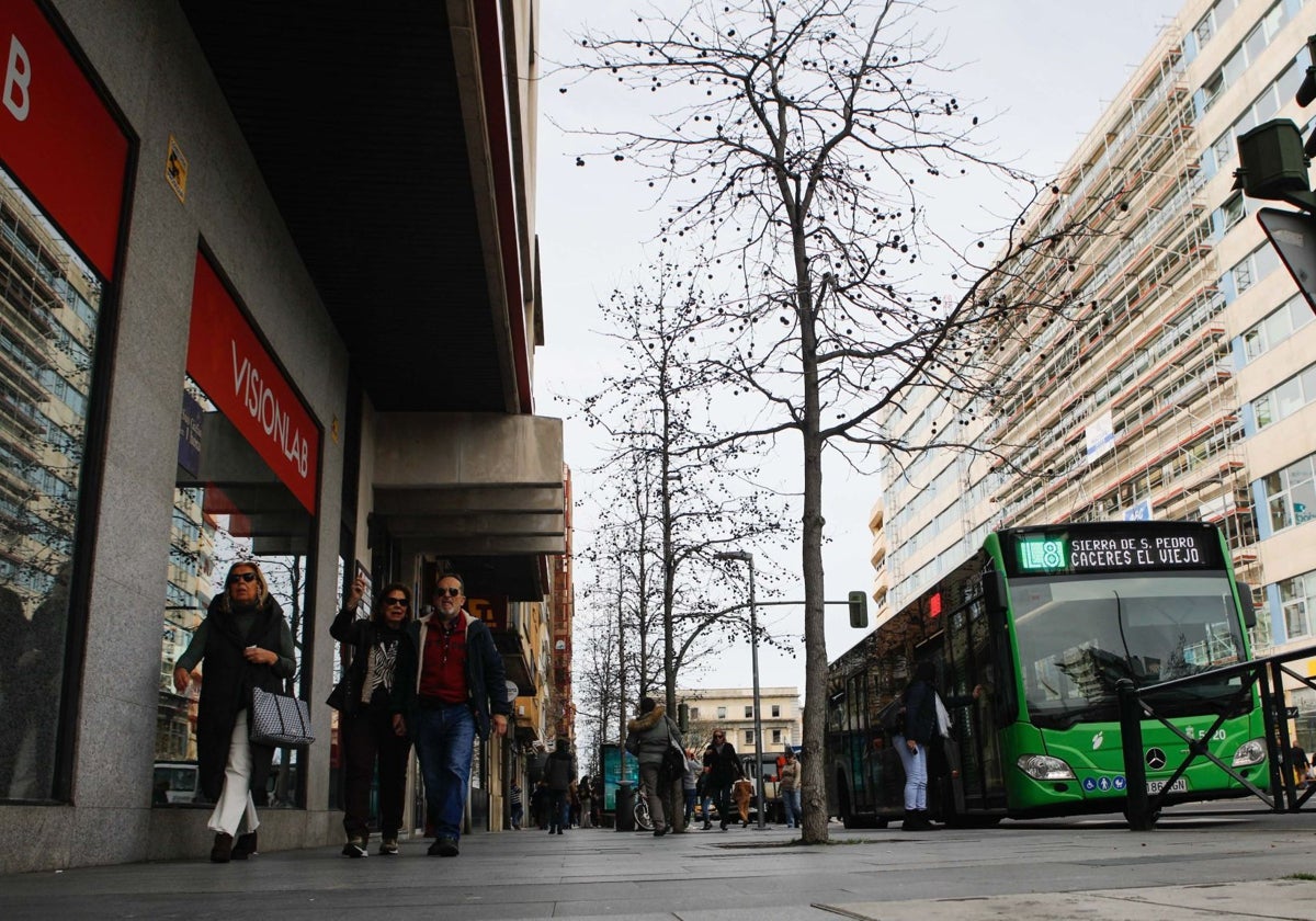 Bus de la línea 8, en Clara Campoeamor.