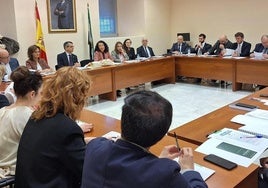 La jornada jurídica se celebró en la sede del TSJEx en Cáceres.