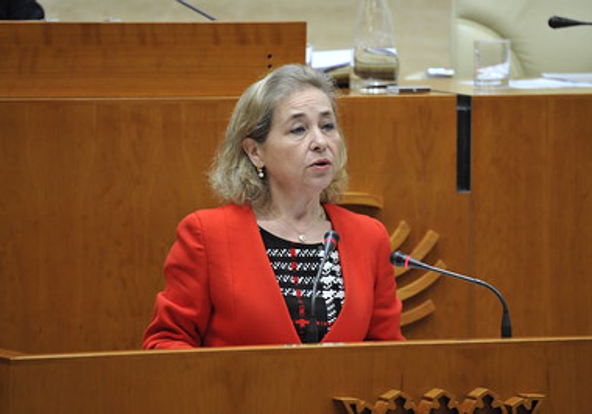 Mercedes Vaquera, en el pleno de la Asamblea que se celebra esta mañana.