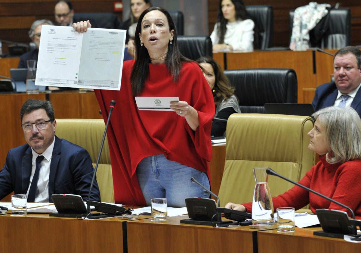 Sara García Espada, en el centro de la imagen, durante una comparecencia en la Asamblea.