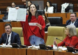 Sara García Espada, en el centro de la imagen, durante una comparecencia en la Asamblea.