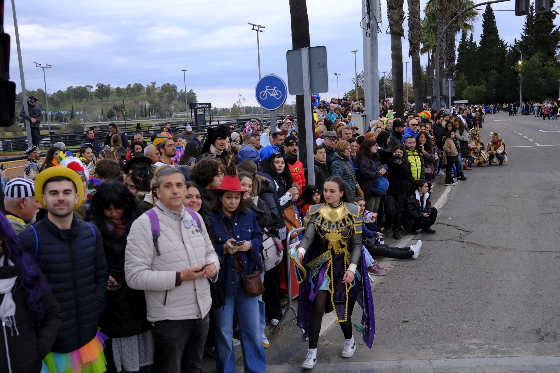 El desfile de comparsas de este sábado en el Carnaval de Badajoz 2025, en imágenes