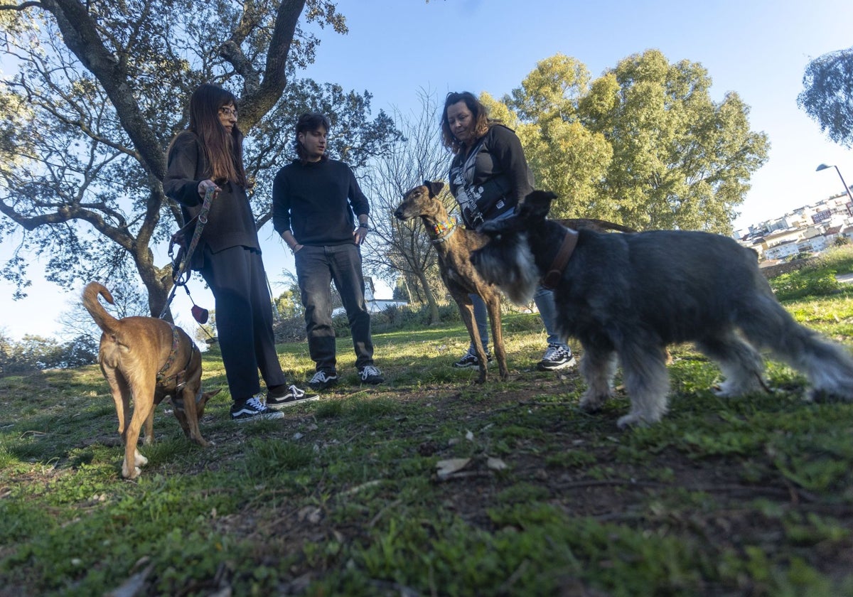 Dueños de perros con sus mascotas en el Paseo Alto de Cáceres. A la izquierda, Aldea, podenco que sufrió un corte provocado por un cristal.